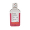 //rororwxhrkinlq5q-static.micyjz.com/cloud/lpBpjKnjlkSRpijjniijin/G4205-500ML-60-60.jpg